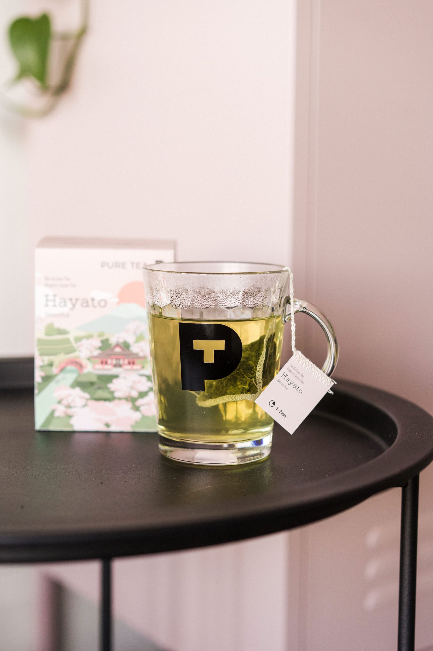 Hayato Sencha Organic Green Tea (15x3g)